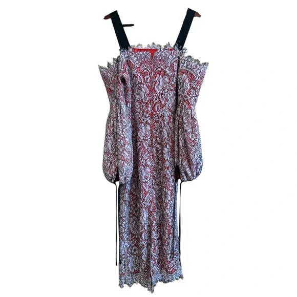 ASOS extreme sleeve Bardot pencil lace midi dress with contrast trims - Picture 6 of 9